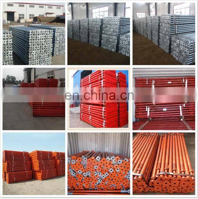 Tianjin SS Group Scaffolding Galvanized Adjustable Screw Jack