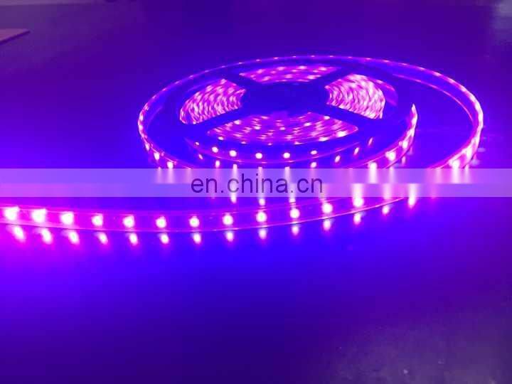 shenzhen high quality 5050 led flexible strip epistar 400nm uv led strip 5m/roll with 3 years warranty