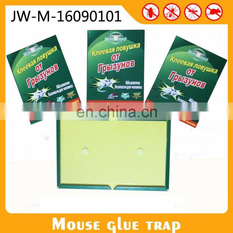 Glue Pad For Rat Mouse & Insect Glue Board Sticky Trap Mouse Killing Glue