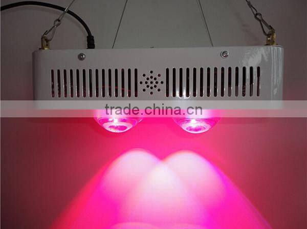 Veg Bloom switchable cob led grow light full spectrum 1000w led grow light