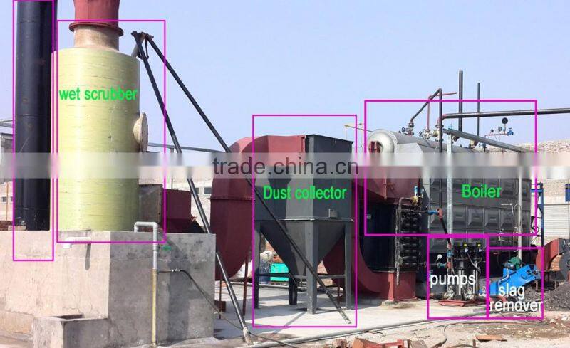 DZL Wood Waste Biomass Fired Steam Boiler