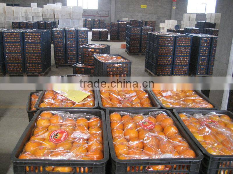 Yellow orange fruit/names of red fruits