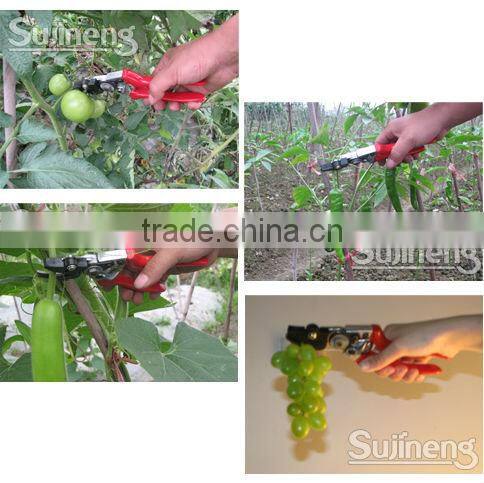 Pruning clamp picking clamp