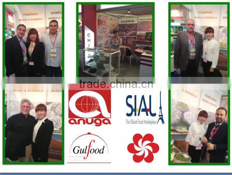 Export Green Pumpkin Seeds Grown without Shell GWS Supplier