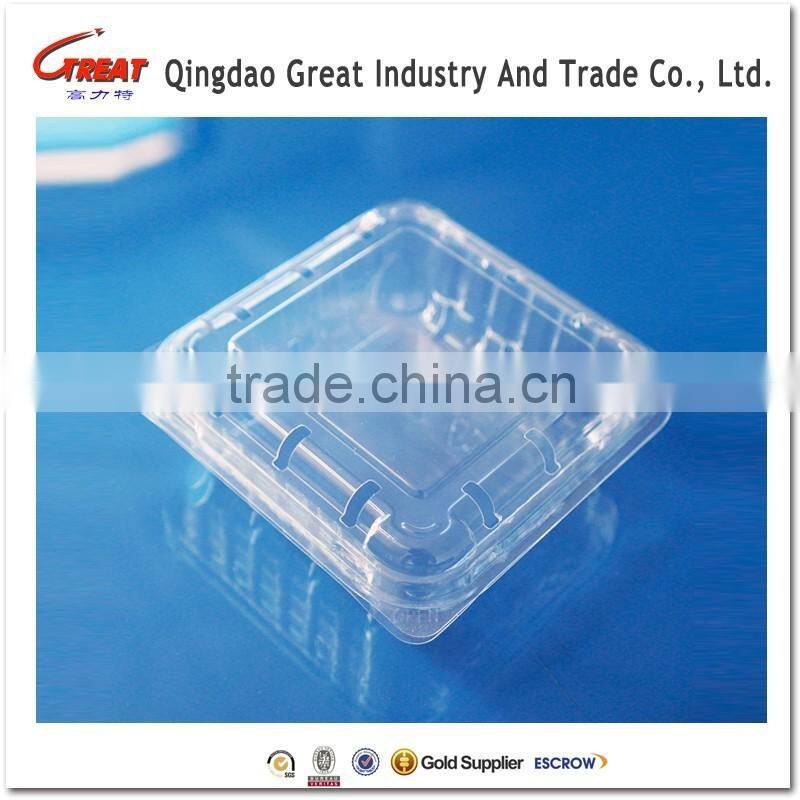 Blueberry Plastic Punnet Disposable Fruit Container
