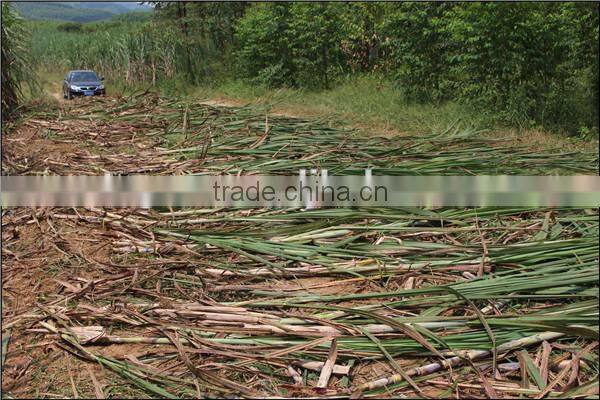 Many usage mini sugarcane machine of sugar cane harvester low price for big farm