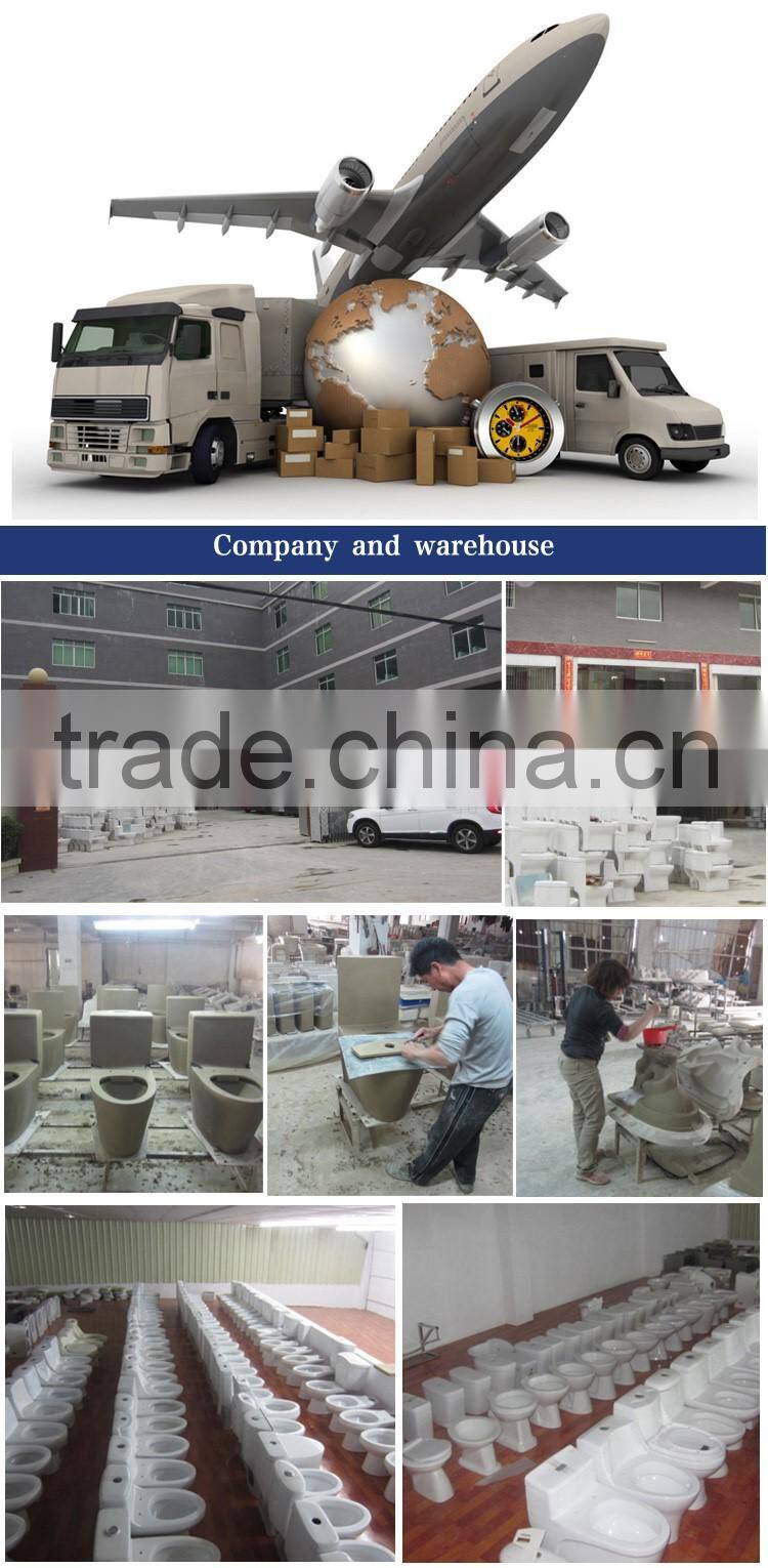 Sanitary China Sanitary Ware toilet flush