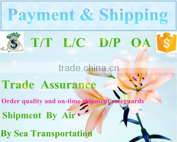 Wood Drawer Cabinet for Living Room Furniture