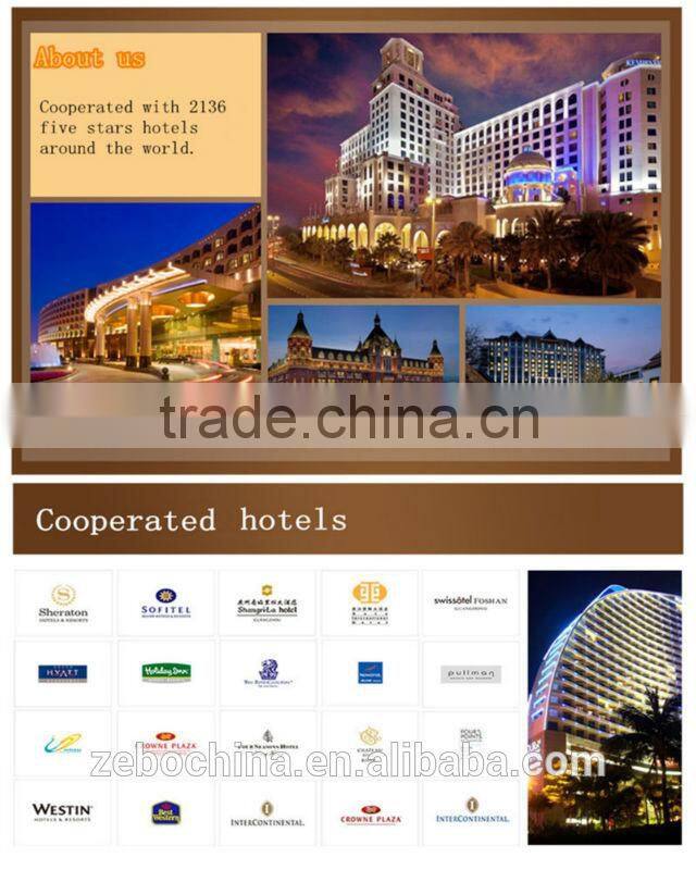 Cheap wholesale disposable eco-friendly hotel amenity set