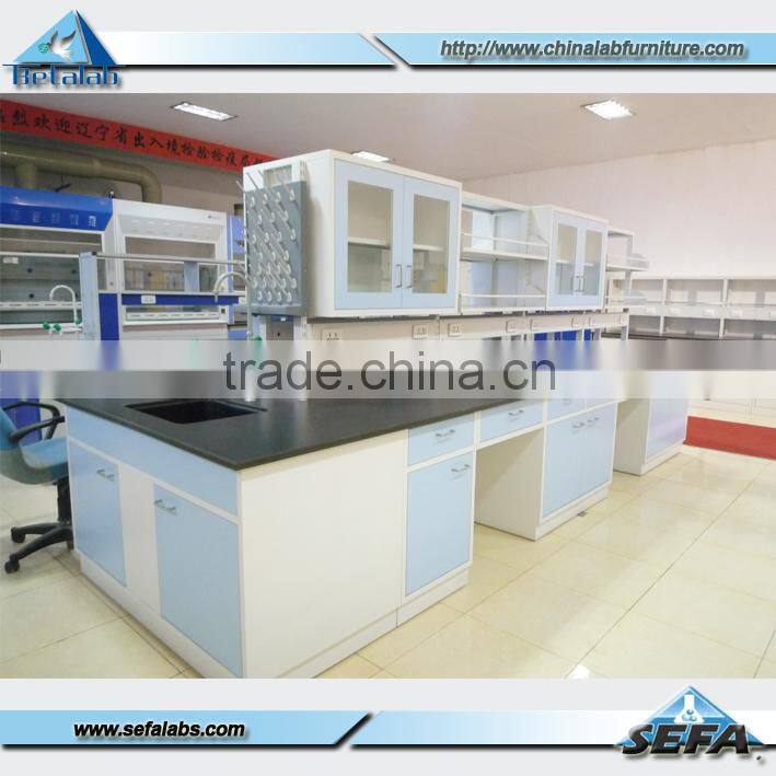 Biology Laboratory Workbench with Rack and Socket Chemical Resistant Work Bench with Sink