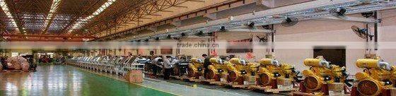 200kva - 300kva TBD234 Diesel Generator Powered by Deutz