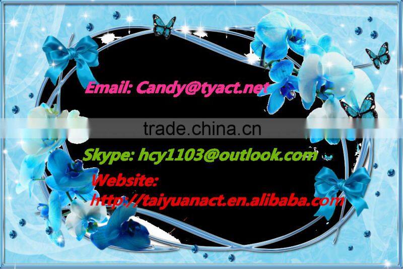 2 seat go kart for kids