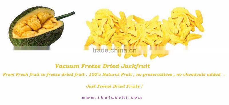 Vacuum Freeze Dried Jackfruit tin can HALAL , HACCP , ISO 22000 , KOSHER and GMP Certified