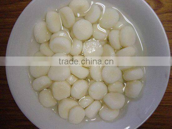 Canned Vegetable Canned Water Chestnut 567g