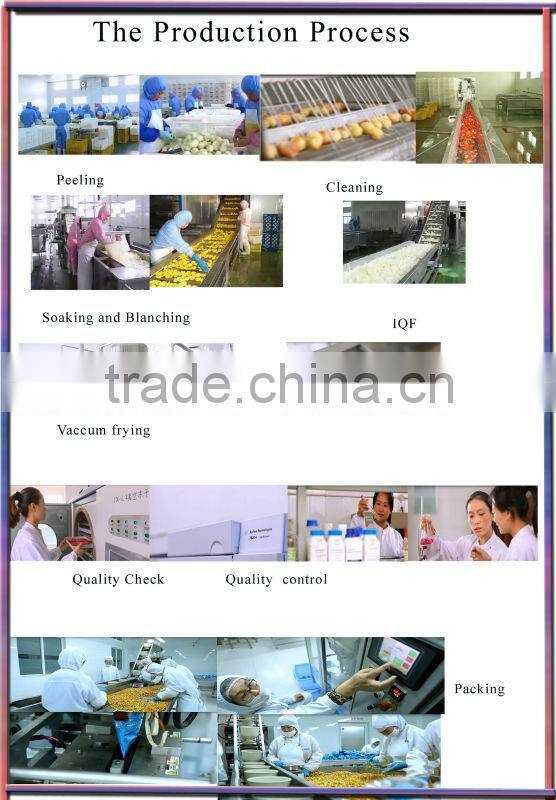 Low Temperture Vacuum Fried Vegetable and Fruits Snacks(veggie chips )