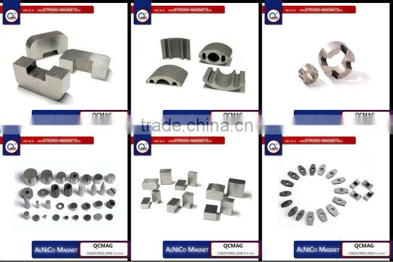 ferrite segment magnet