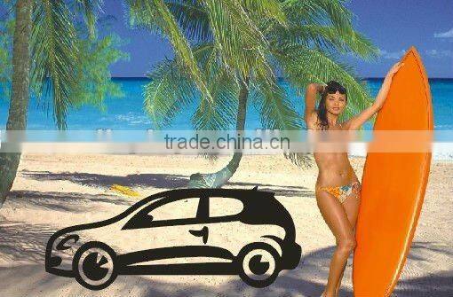 polarized lens test card