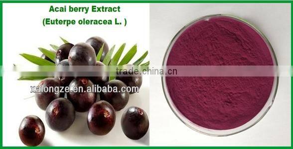Brazilian Acai berry Powder Extract 5:1 10:1 20:1 and spray-dried acai berry fruit powder