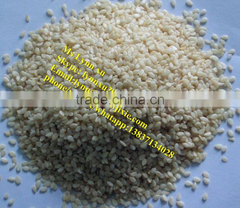 industrial gingili cleaning machine/seasame washing machine