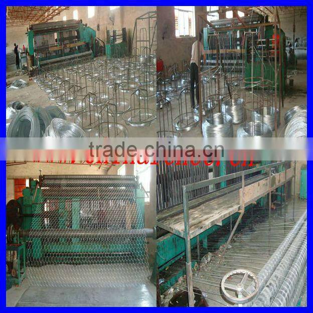 Supply high quality grassland field fence with best price (20 years factory with ISO 2008)