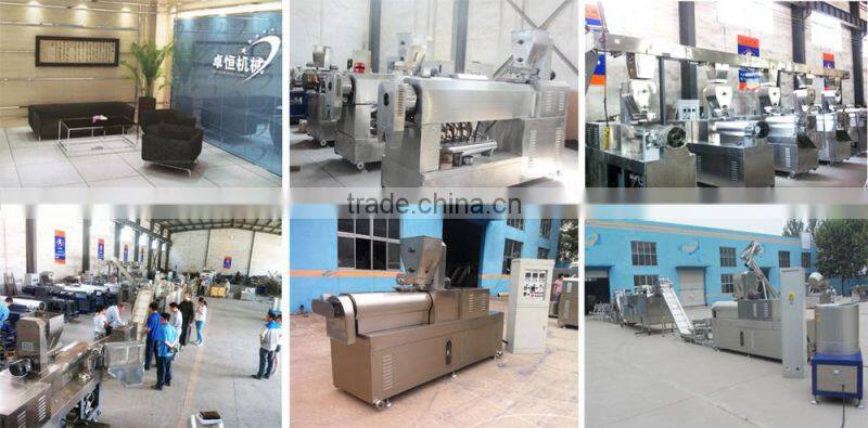 All stainless steel Bread Crumb Extruder Machine