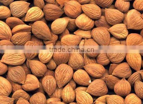 Hot sale 1000kg/h automatic almond nuts shelling machine breaking machine