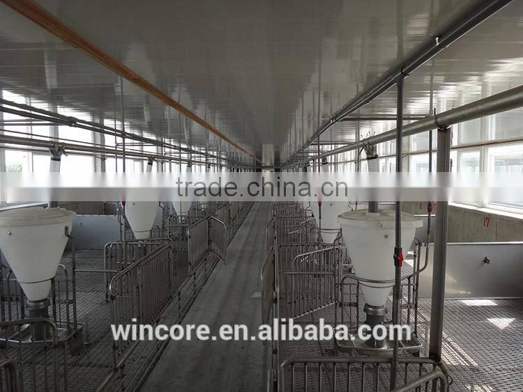 New Products Low Cost High Output Pig Feeding Equipment