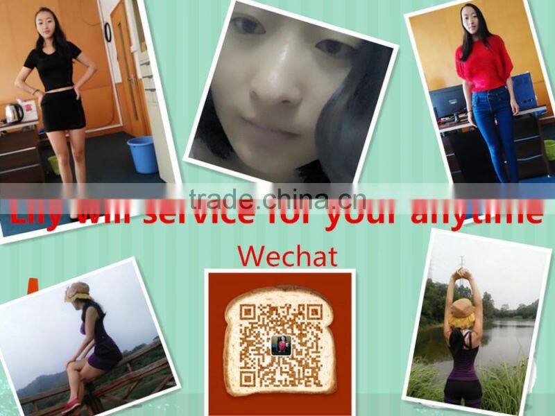 German design 316 stainless steel GHL Series High Efficient high shear mixer granulators granules