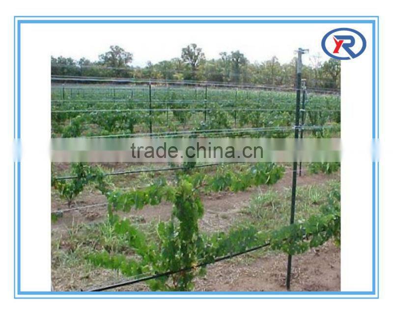 Black bituminous painted Y fence post punched with teeth made in china