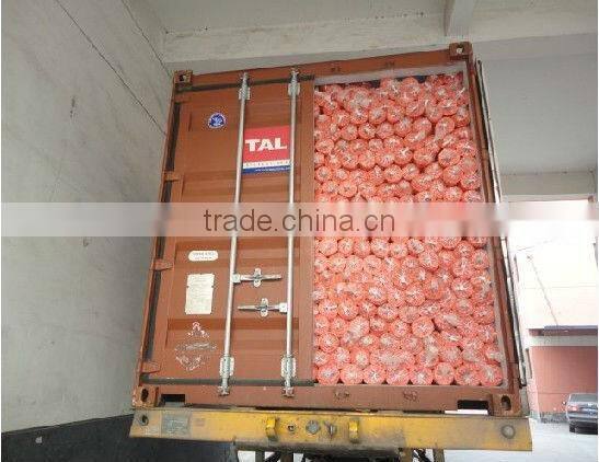 Orange Road Warning Fence