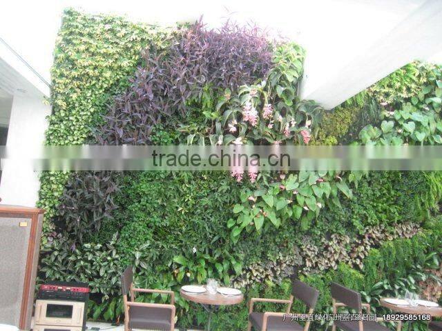 Hot sales artificial living wall,garden plants for sale,special design fake plants wall