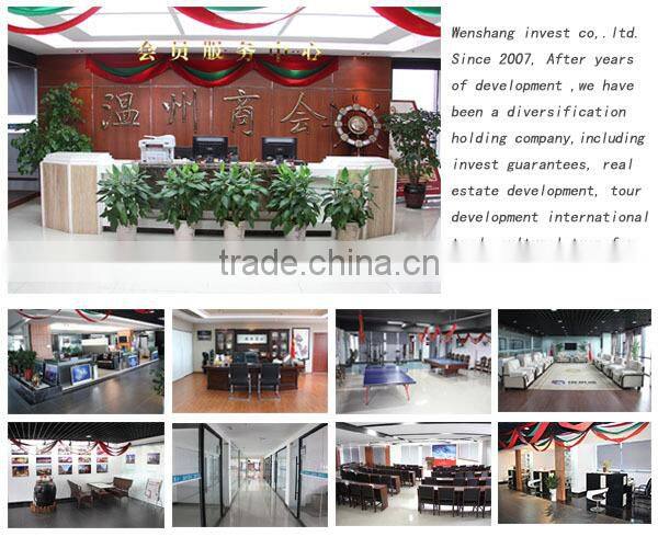 Latest Designs Women Punk Suspender Skirt