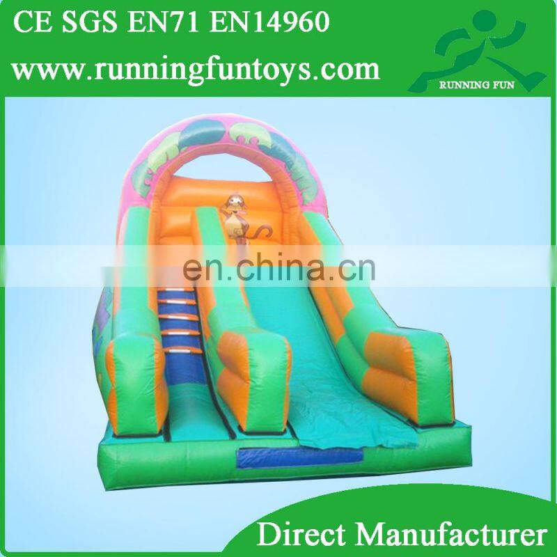 giant adult inflatable slide,inflatable hippo slide,inflatable slide castle for sale RF65