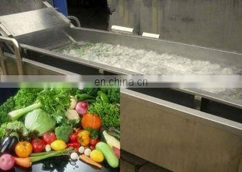 Most advanced and easy operate fully automatic Vegetable Washing Machine