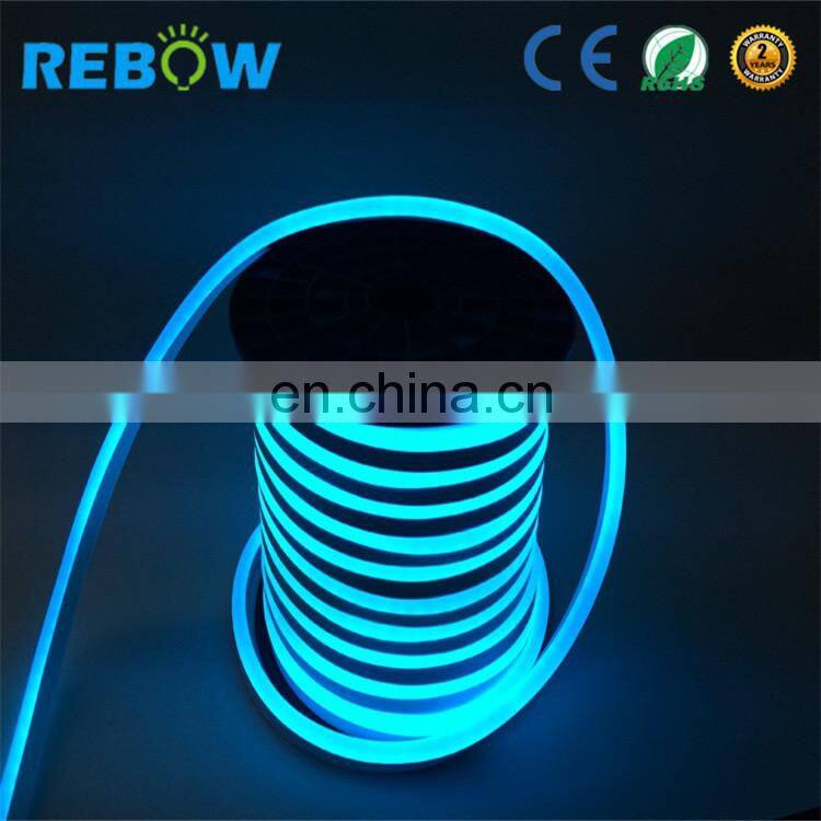 High Quality neon led waterproof 12V 24V 220v neon flex rgb led tube/strip/rope