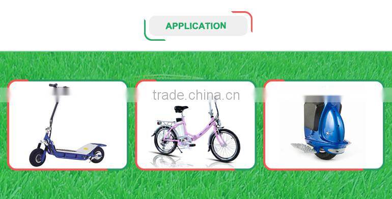 120W 48v Smart E Bike Battery Charger