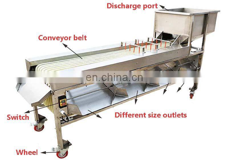 Commerical Passion Fruit Processing Avocado Onion Size Grading Sorting Machine.