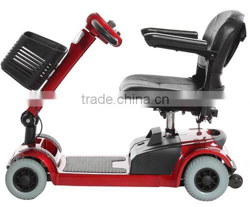 12v 24v 36 v Abs roofbattery power two seats electric scooter