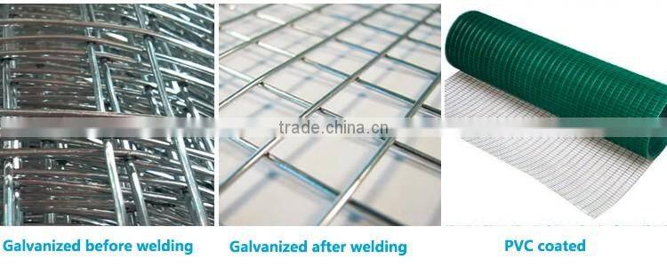 stainless steel curved welded wire fence panel with low price