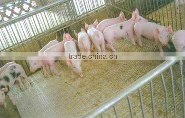 Low Voltage Heat Cable Reptile