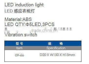 Induction wardrobe LED light