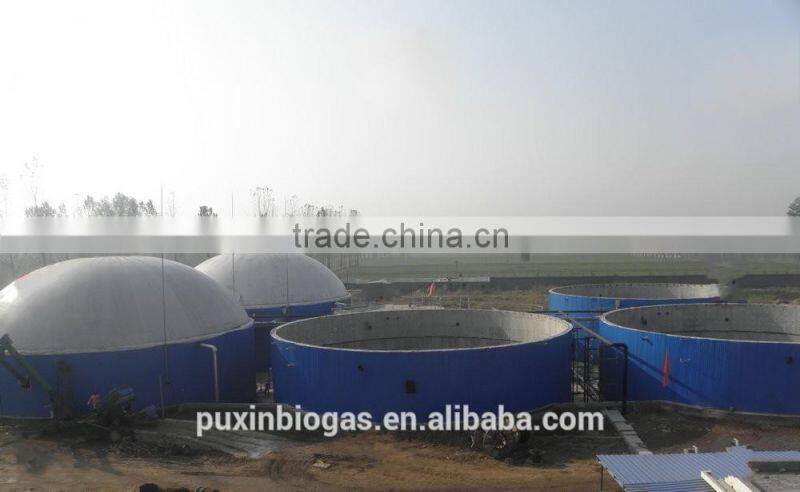 PUXIN biogas plant /machine /systems price for sewage water purifier