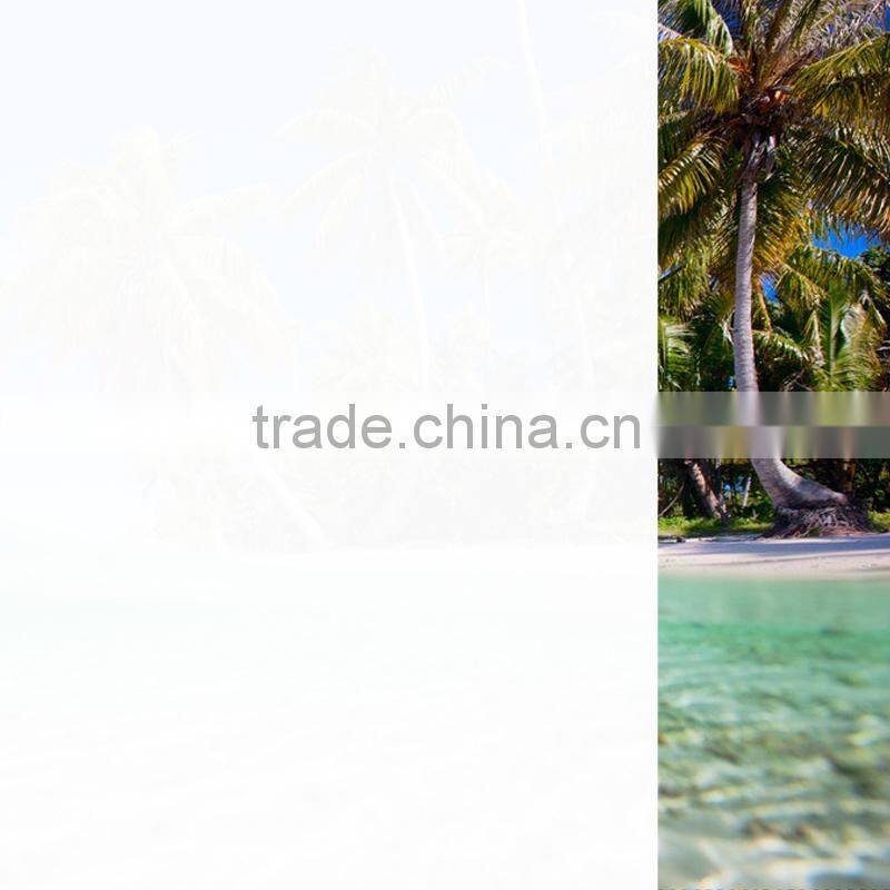 Self Adhesive Decorative Window Film