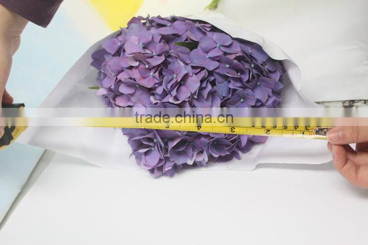 Most popular hotsell hydrangea flowers