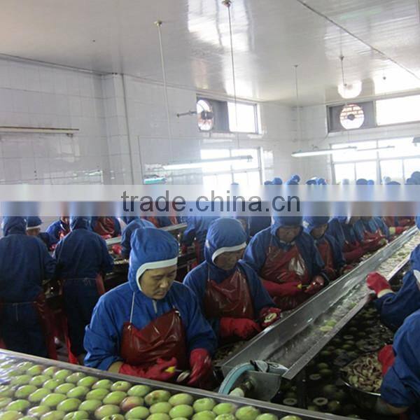 Canned Yellow Peach Halves Fruit In Syrup 3000g