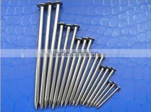 hebei shijiazhuang wire nails