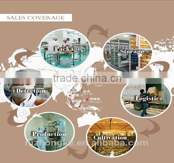 Herbal Health Food Anti-aging Skin Care Antioxitant Tomato Extract Lycopene Capsule