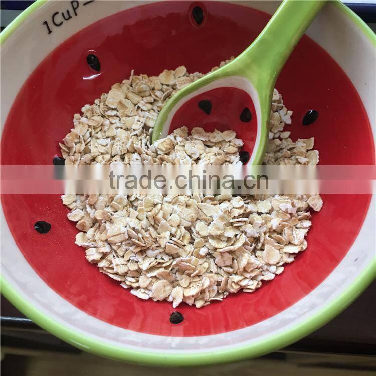 quaker oats quality oat flakes in oats wholesale price