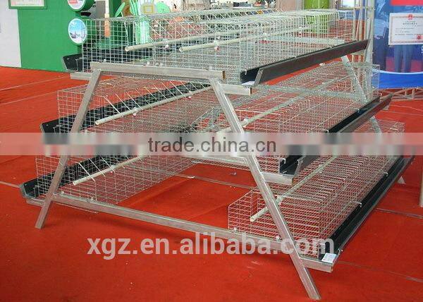 Hot Selling H Type Automatic Poultry Farm Layer Cage In Algeria