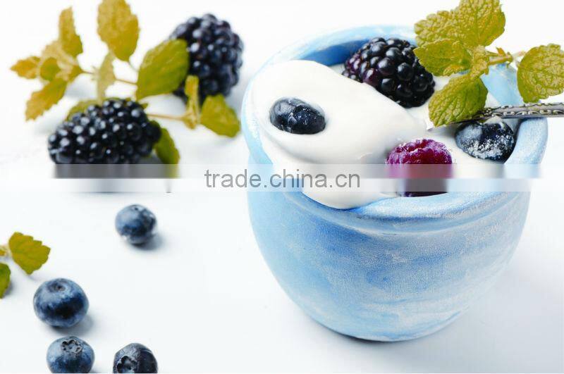 1.5L Greek yogurt maker